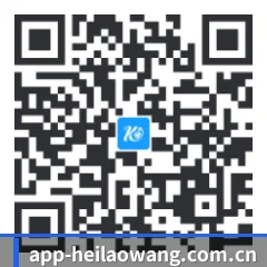 iOS 果粉吃瓜版 二维码